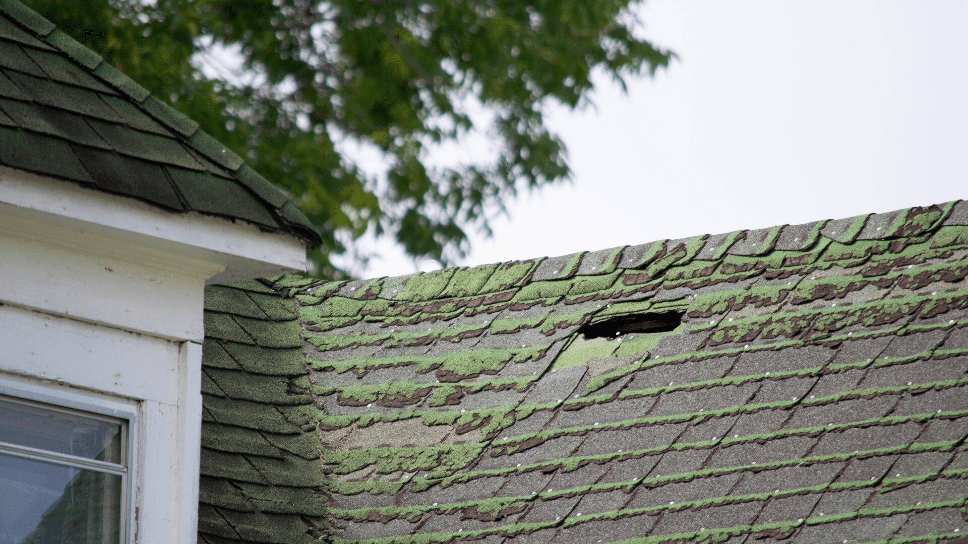 Roof Damage Causes
